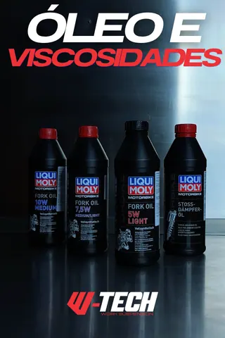 Módulo 6